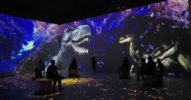 Imagem: Acervo Lightland
