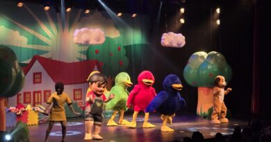 Apresentação Brincando com o Bento e Totó – Show Oficial